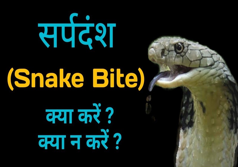 Snake bite
