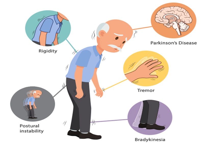 Parkinson Medlarge