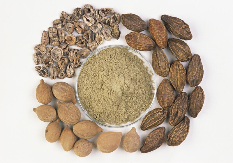 Triphala1